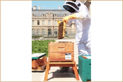 Nuxe e il Louvre per la salvaguardia delle api